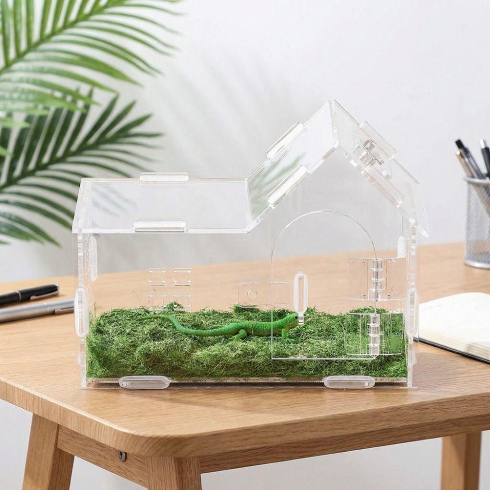 Acrylic Reptile Feeding Box Magnetic Transparent Reptile Habitat Box Anti-escape Detachable Spider Observation Box Breeding