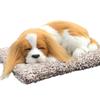 TASINO Dog Plush Toy Figurine Cavalier 26 X 18 Cm Realistic Cute Lifelike