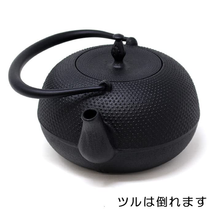 In OIGEN Nanbu Iron Kettle Nanbu Ironware Mizuki Arale Made In Japan Open Fire Z Honjien [Made Japan] 1.2L /Ra/