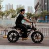 Electric bicycle Duotts F20, 750W motor, 52V 27AH battery, top speed 40 km/h, cruising range 140km, 20x4.0 inch tires