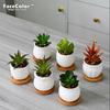 Facecolor Мини Керамический Кактус Кашпо Керамический Набор для Суккулентных Цветов Керамические Суккулентные Маленькие Горшки для Растений для Мини Подходит для Мини Бамбукового Блюдца