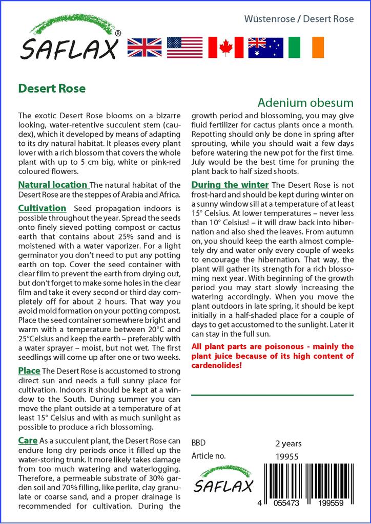 SAFLAX Garden in the Bag - Роза пустыни - 8 семян - С субстратом в подходящем пакете - Adenium obesum