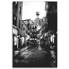 Печать на холсте Черно-белая улица