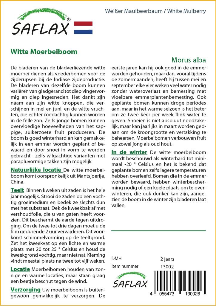 SAFLAX Шелковица белая - 200 семян - Morus alba