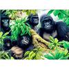 Полный sauqre DIY Алмазная картина Шимпанзе Животные Алмазная вышивка Крестом Алмазная вышивка
