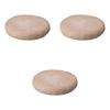 Set of 3 Large Round Grilling Stones X Ceramic Grilling Stones for Direct Fire Use (14 3cm) (Setomonohonpo)