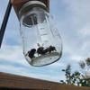 Carpenter Bee Trap for Outside - Pentroof Style Nature Hanging Wood Carpenter Bee Traps -Insect Traps with Removable Vault