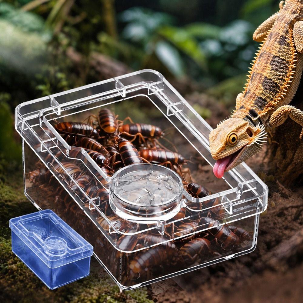 Escape-Proof Pet Feeding Bowls Easy Clean Reptile Feeder Dish Habitat Accessories