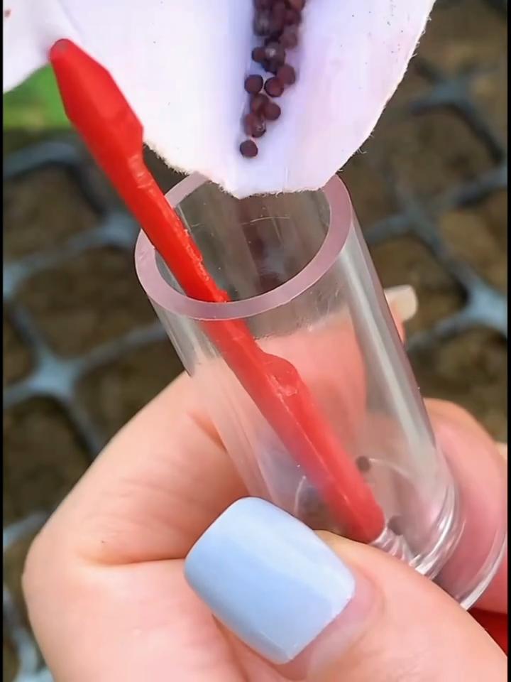 Посевной разбрасыватель Широкое применение, противоизносный пластиковый удобный прочный водонепроницаемый диспенсер для подарков