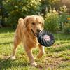 Elasticity Interactive Dog Toy Squeak Sound Dog Chew Wheel Toy Creative Molar Toys  Indoor Play