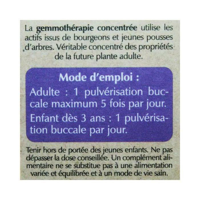 Herbalgem Complexe De Gemmothérapie Stomagem Confort Digestif Spray Bio 15ml