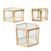 Glass Geometric Terrarium Succulent Plant Planter Hexagon Holder Jewelry Display Container for Wedding Decoration Events