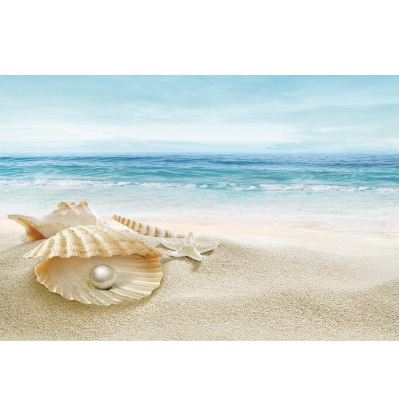Tropical Beach Backdrop Decoration Seashell Starfish Summer Vacation For Pool Party Celebration Backgrounds For Photographs