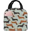 Black and Brown Dachshund Lunch Bag for Women Reusable Insulated Lunch Box Thermal Small Cooler Tote Bag for Work Picnic School