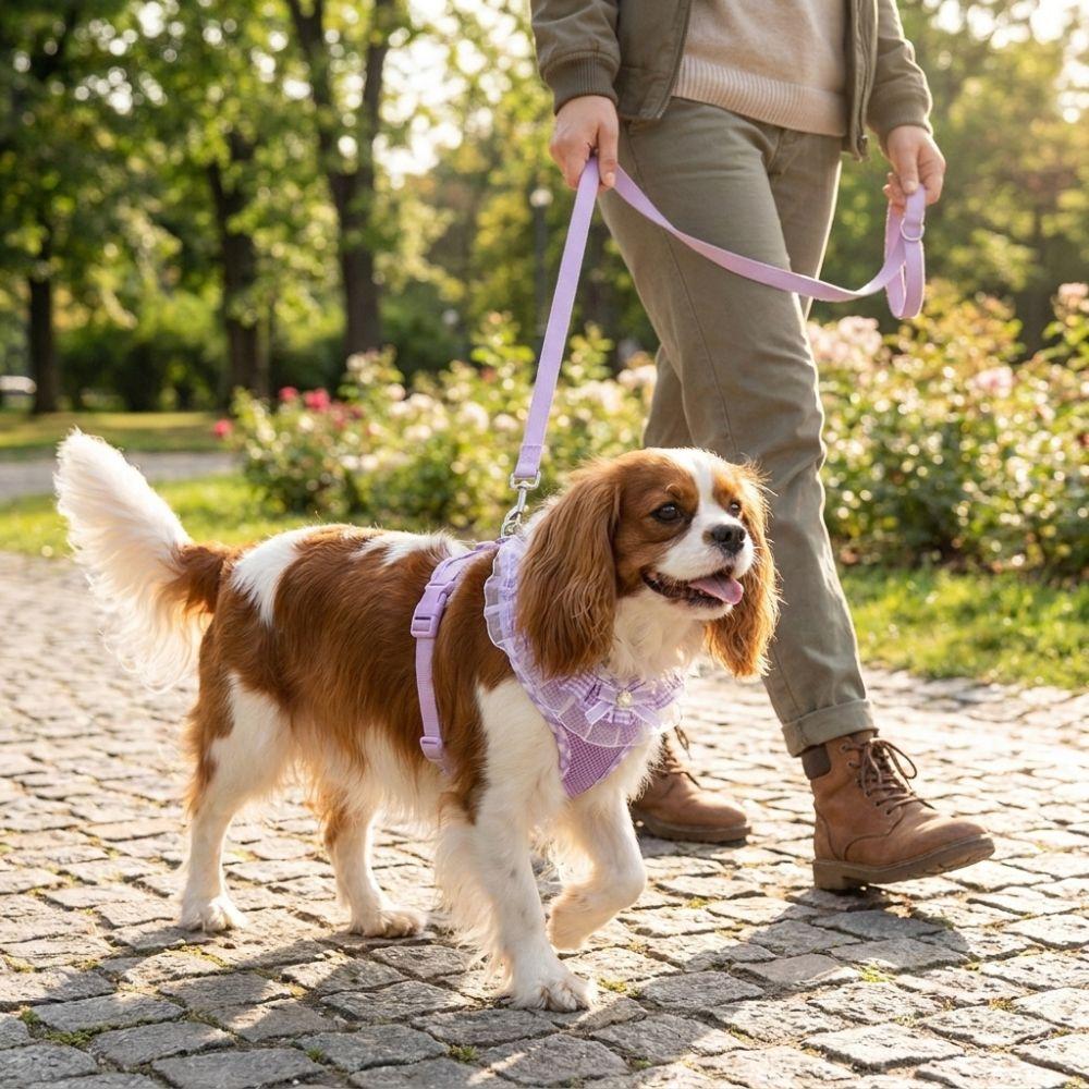 Breathable Mesh Cat Harness Leash Set Adjustable Dog Harness Vest Cat Tank Top Chest Strap Outdoor
