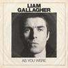 LP Пластинка LIAM GALLAGHER - As You Were 0190295774929 Warner Records 2022 Европа Рок