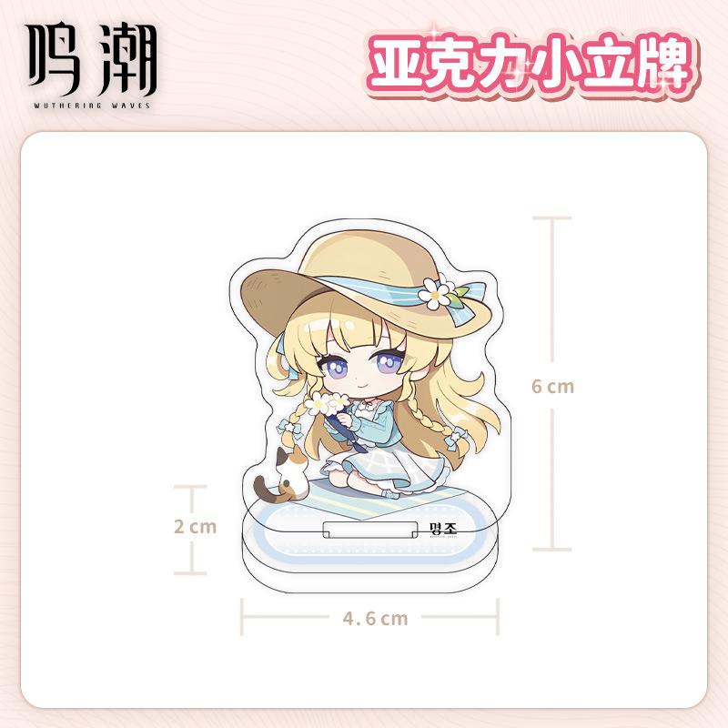 Waves Wuthering Chinese Game Peripherals Full Acrylic Stand Collectible Desk Ornaments Creative Birthday Gifts For Friends Toy
