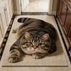 3D кошачий глаз Силикофлора Коврик для пола, Коврик для пола в ванную комнату дома, Быстросохнущий впитывающий влагу Коврик для ног, Легко моющийся Коврик для ванной