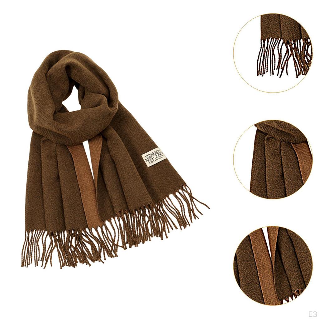 Fall Winter Scarf Pashmina Shawl Wrap Trendy Long Lady Women's for Evening