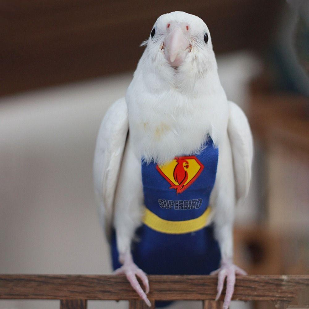 For Parakeet Cockatiel Pigeons Birds Clothes Parrot Diaper Parrot Urine Pants Birds Flight Suit