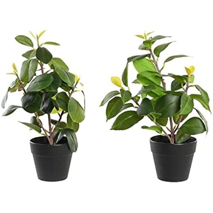 Plante Décorative - DKD Home Decor - Standard - Vert - Polypropylène - 64x58x40 Cm