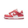 Детские кроссовки Dunk Low TD Gypsy Rose Pink White DC9562-111