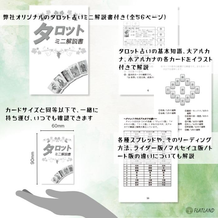 Plastic Rider Waite Tarot The Plastic Rider Waite Tarot Tarot Fortune Telling Method Japanese Instruction Manual Included Authentic 78 Cards 100% 100%