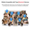 Tuya Bluetooth Шлюз Хаб Умная Сеть SIG Mesh Мост WiFi Приложение Smart Life Удаленное Управление Bluetooth Устройством Работает с Alexa Google Home