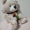 [USED] teddy bear stuffed bear