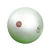 WEZHO 2kg Professional Track & Field Shot Put