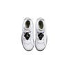 Jordan 6 Ретро Аллигатор PS 384666-110