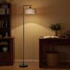 LED Floor Lamp with Double Shade, Dimmable Standing Lamp with 3 Color Temperatures for Living Room, Bedroom, Office, Black