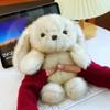 Fluffy Big Ear Rabbit Plush Toy Interactive Stuffed Animals Rabbit Toy Birthday Parties