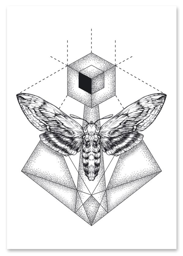Plakat ćma motyl geometryczny dotwork