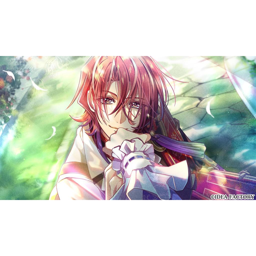 Switch Mistonia Wings - The Lost Delight - Фэнтезийная приключенческая игра(Японское издание)