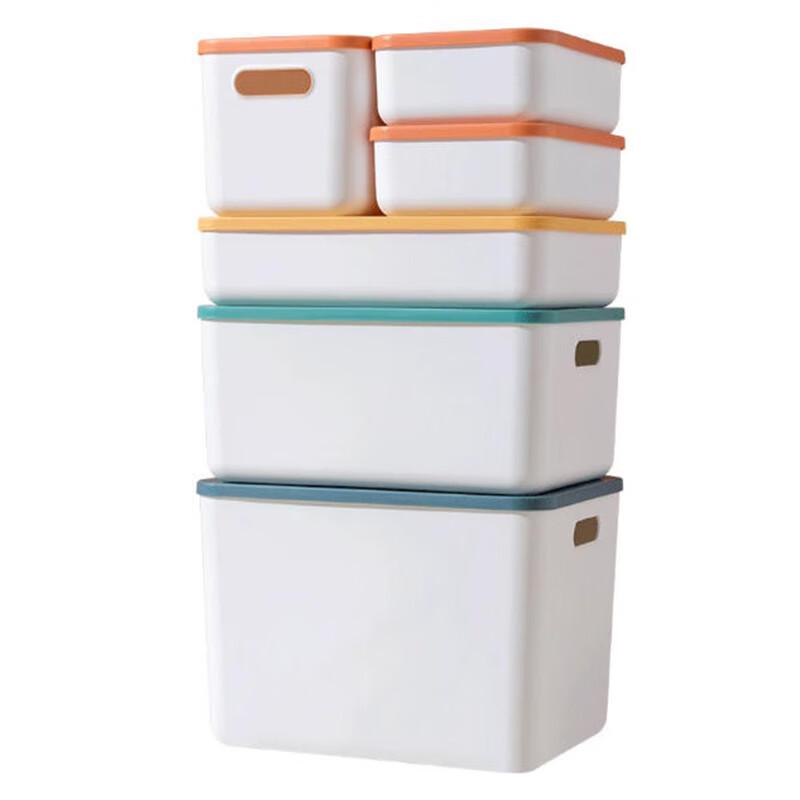 Plastic Desktop Storage Box with Lid