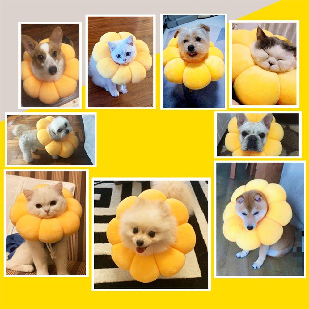 Заживляющие елизаветинские воротники E-воротник для питомца Милый конус на шею Регулируемый восстановительный воротник Кошка Маленькая собака