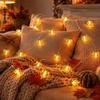 Guirlande lumineuse - AIMOONSA - Guirlande citrouilles - 2 m - 20 LED - À piles (2x AA)