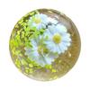 Кокосовое масло Медленная игрушка Масло кокоса Игрушка-пресс для кокоса Тревога и стресс Мягкая и многоразовая Сжимаемая игрушка Забавные расслабляющие игры для детей