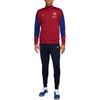 Мужской комплект футбольной формы FCDri Fit FJ5407-621