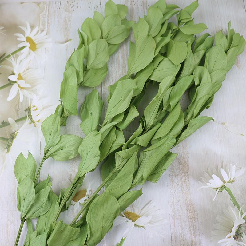 DIY Floral Art Ornament: Preserved Tangerine & Fishtail Leaf, Lily, Bamboo Dried Flowers – Ikebana Photo Prop for Home Décor.