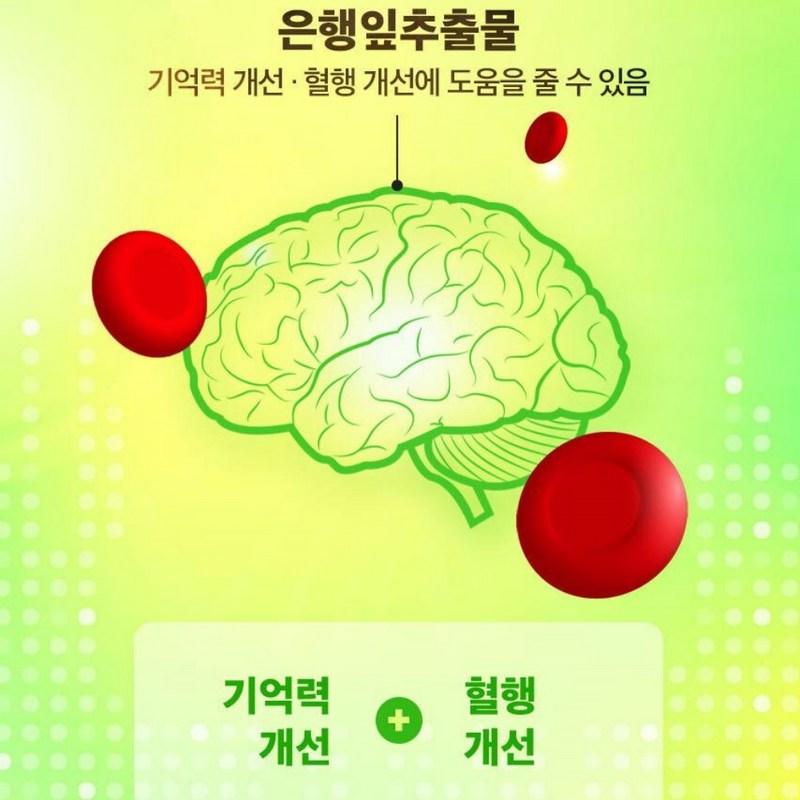 Good Nutritional Supplement for Dementia, Brain Improvement Medicine, Memory Premium, Ginkgo & Memory 30 Tablets, 30 Tablets, 1 Unit