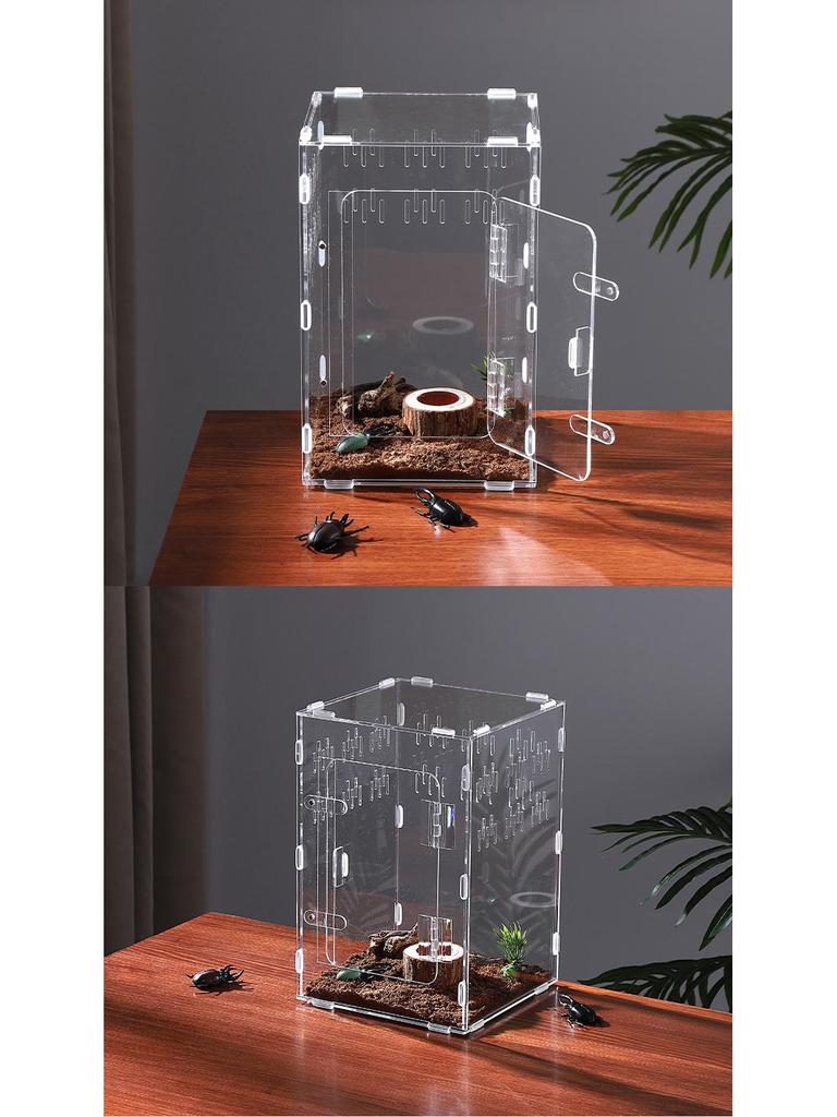 Small Acrylic Reptile Habitat: Transparent Observation Box for Spider, Lizard, Mantis, and Rainforest Landscape
