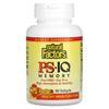 Natural Factors, PS - IQ Memory, 60 мягких капсул