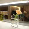 Modern Transparent Vase Aesthetic Hydroponic Decorative Vase Clear Book Vase  Green Plant