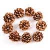 Pine Cone DIY Decoration Kit: Branch, Log, Dried Flowers for Creative Kindergarten Hanging Crafts
