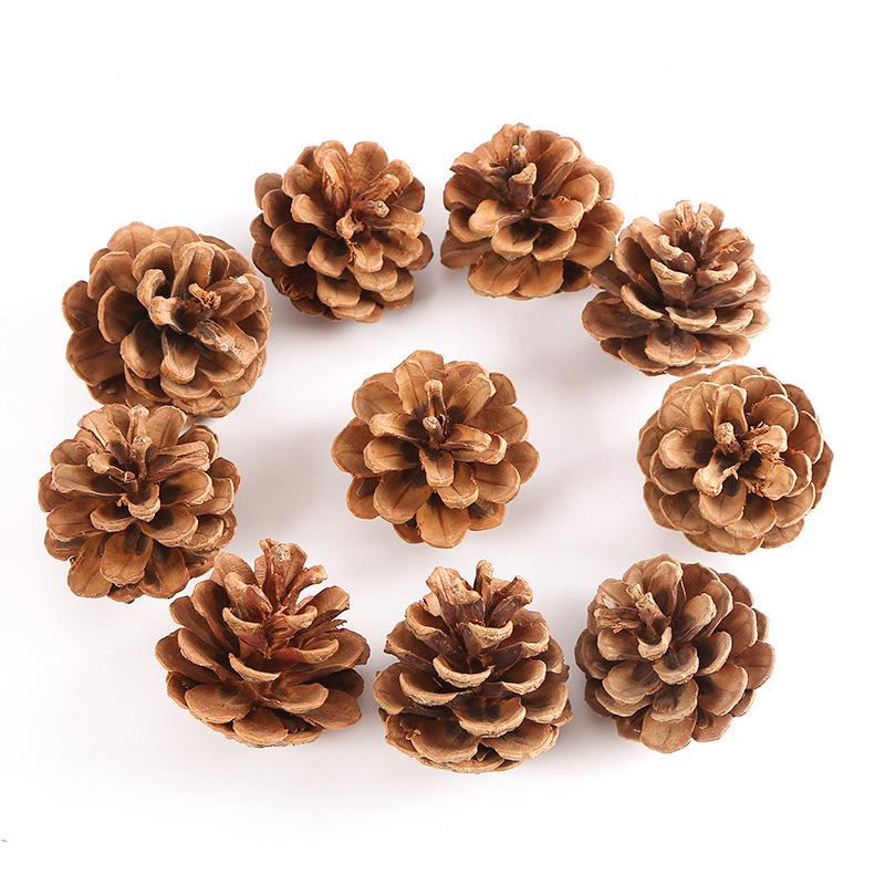Pine Cone DIY Decoration Kit: Branch, Log, Dried Flowers for Creative Kindergarten Hanging Crafts