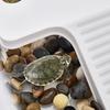 Stable Turtle Floating Platform Non-Slip Turtle Climbing Slope Reptile Ramp  Aquarium