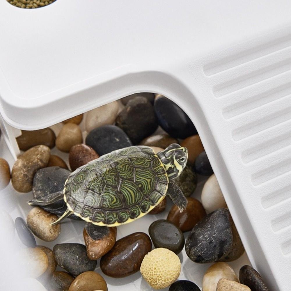 Stable Turtle Floating Platform Non-Slip Turtle Climbing Slope Reptile Ramp Aquarium