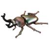 TAKARA TOMY Ania Rainbow Stag Beetle Animal Dinosaur Insect Toy Ages 3 and Up AS-42